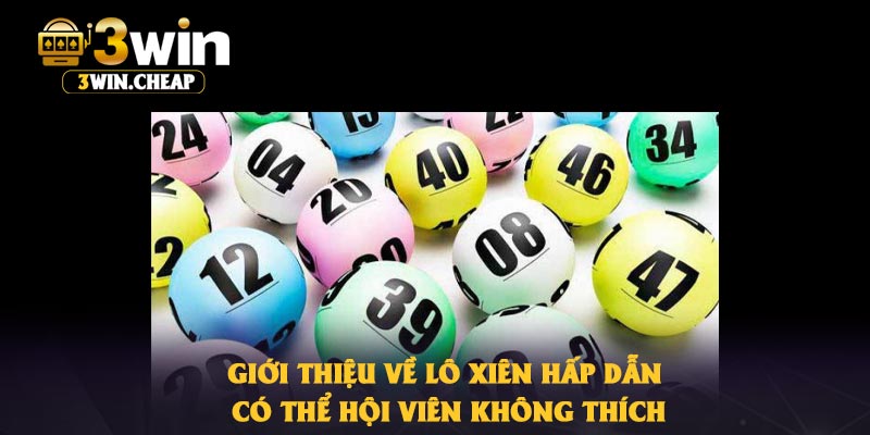 Giới thiệu về lô xiên hấp dẫn có thể hội viên không thích